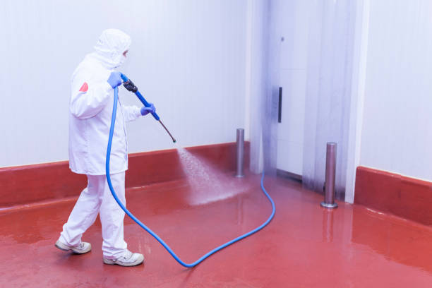 Best Roof Washing  in Tomah, WI