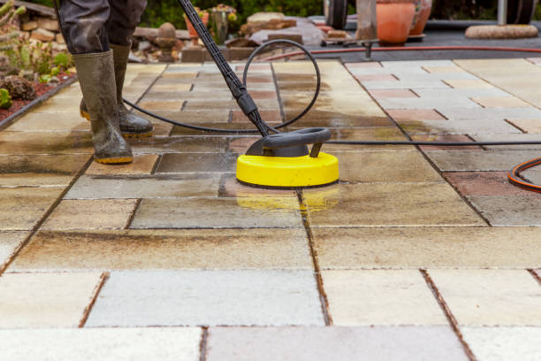 Best Sidewalk and Walkway Cleaning  in Tomah, WI